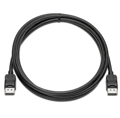 HP DISPLAYPORT CABLE KIT