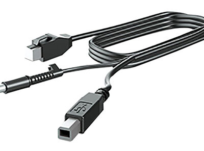 HP 300CM DP CABLE