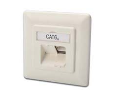 DIGITUS CAT 6A NETWORK OUTLET