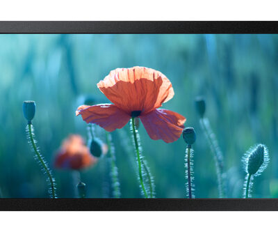 QB13R 13IN FHD