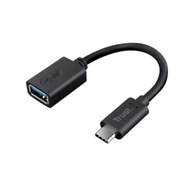 CALYX USB-C TO USB-A ADAPTER CA