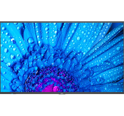 M431 43IN IPS LED
