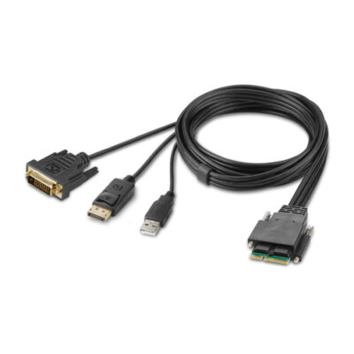 MODULAR DVI AND DP DUAL HEAD