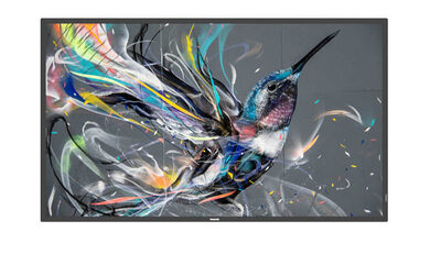 43BDL3511Q 108CM 43IN IPS LED
