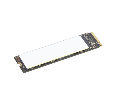 TP 512GB SSD PERFORM PCIE G4