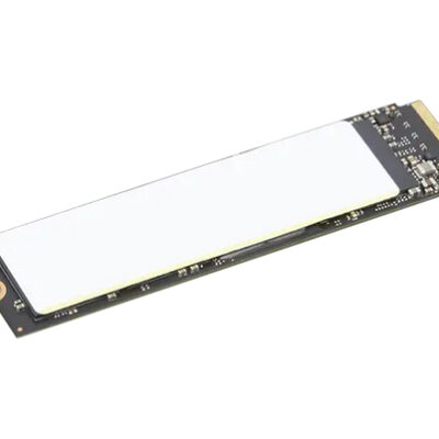 TP 1TB SSD PERFORM PCIE G4