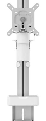 MOMO 2117 MONITOR ARM DESK