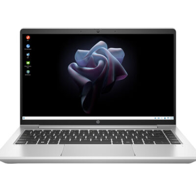 HP PRO MT440 G3 CEL-7305 8GB