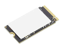 TP 256GB SSD OPAL2242
