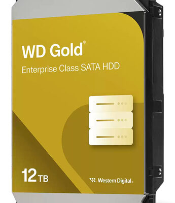 12TB GOLD 256MB