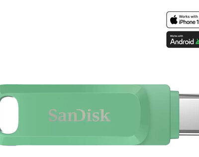SANDISK ULTRA DUAL DRIVE GO USB