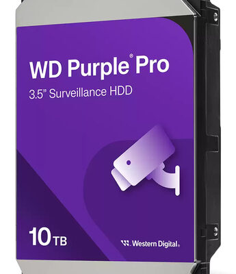 10TB PURPLE PRO 256MB