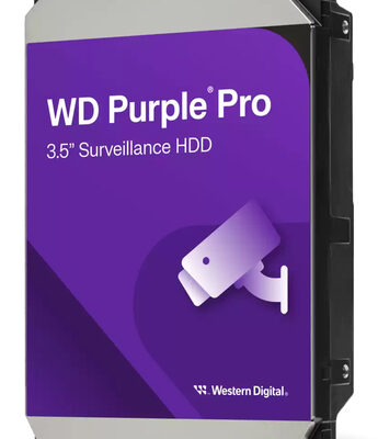 12TB PURPLE PRO 512MB