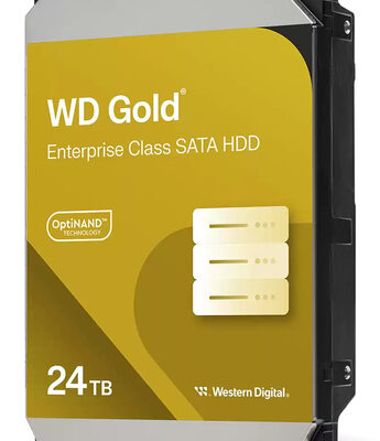 24TB GOLD 512 MB 3.5IN SATA
