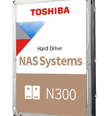 N300 NAS HARD DRIVE 12TB BULK
