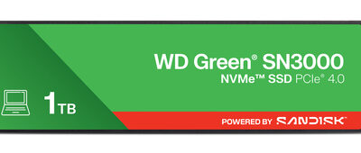 WD GREEN SN3000 1TB SSD