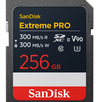 SANDISK EXTREME PRO 256GB SD