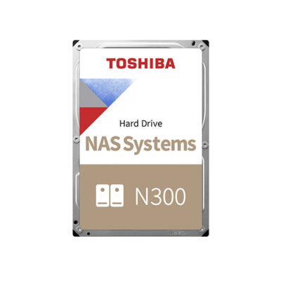 N300 NAS HARD DRIVE 10TB RETAIL