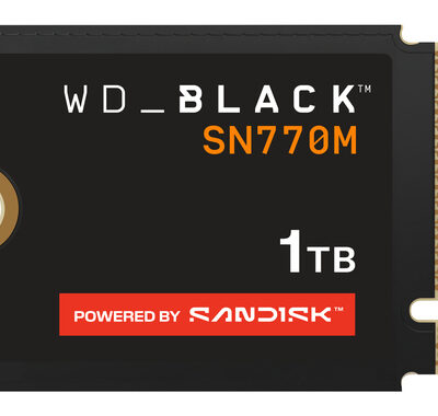 WD BLACK SN770M 1TB M.2 2230