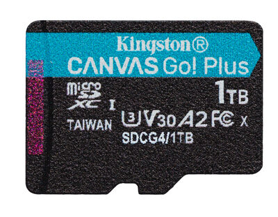 1TB MSDXC CANVAS GO PLUS 200R