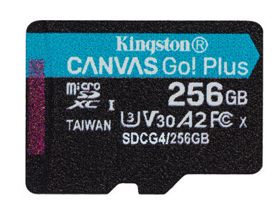 256GB MSDXC CANVAS GO PLUS 200R