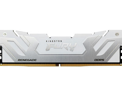 24GB DDR5 8800MT/S CL42 CUDIMM