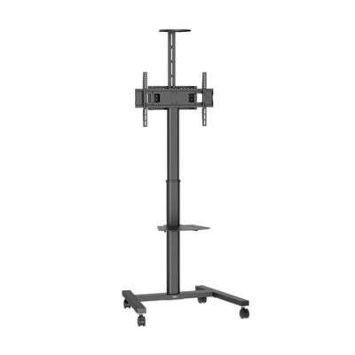 ESSENTIAL T1031 B
