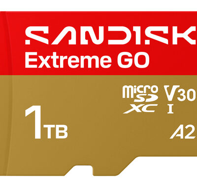 MICROSD UHS-I 1TB MICROSD