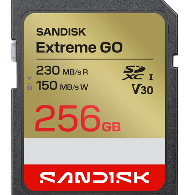 EXTREME SD UHS-I 256GB SD