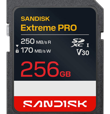 EXTREME PRO SD UHS-I 256GB SD