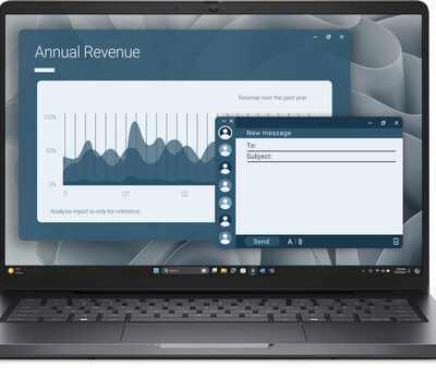 DELL PRO 14 PC14255 R5-215