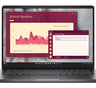 DELL PRO 14 PC14250 U5-225U
