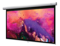 DS-9106MGA PROJECTION SCREEN