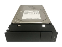 PEGASUS32 SP.12TB SATA HDD