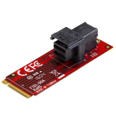 U.2 TO M.2 ADAPTER