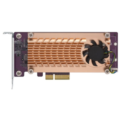DUAL M.2 22110/2280 PCIE SSD